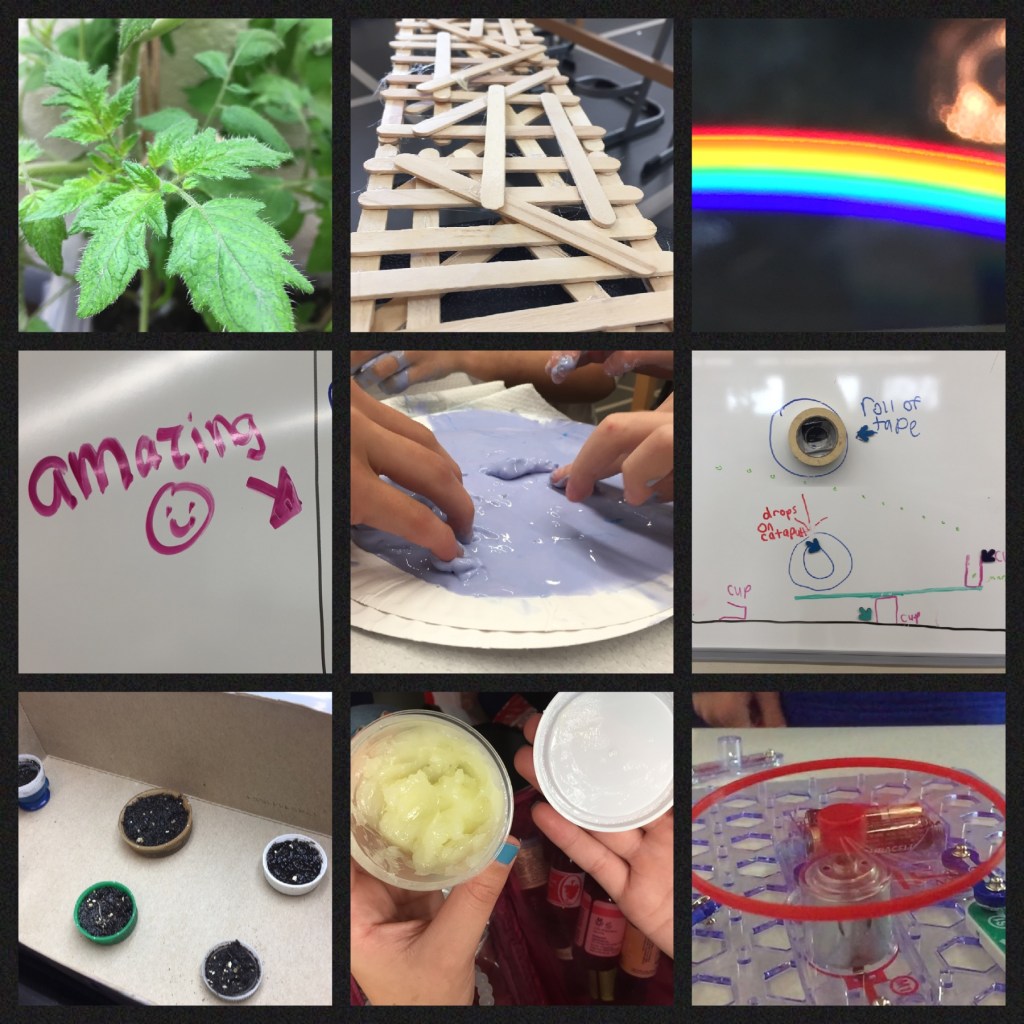 collage of student work including plants, rainbows, and bridges